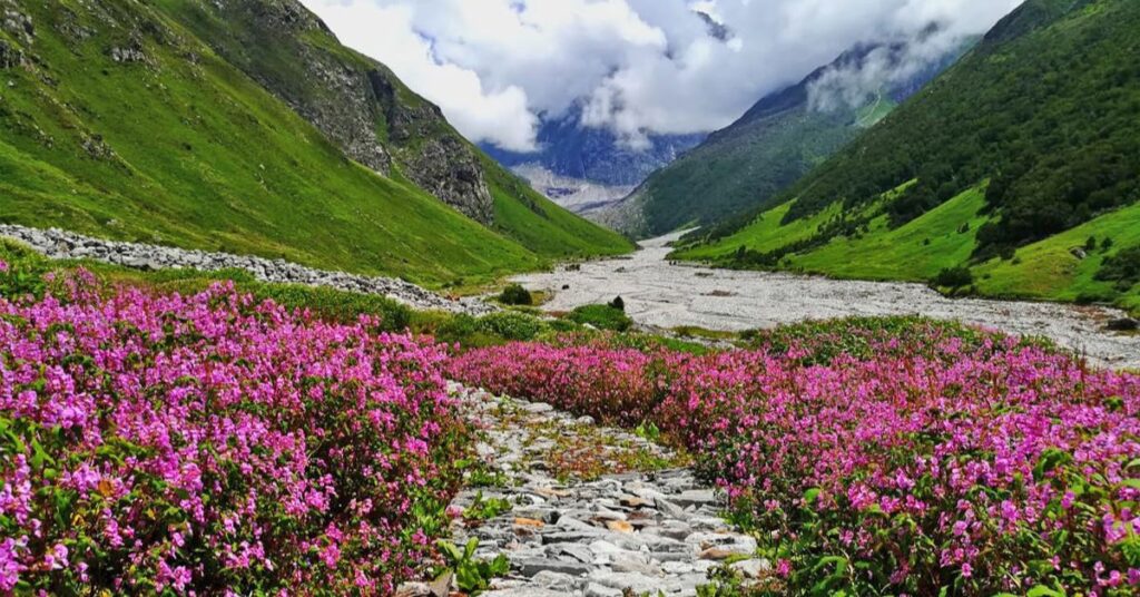 Places To Visit In India in July, Valley of Flowers