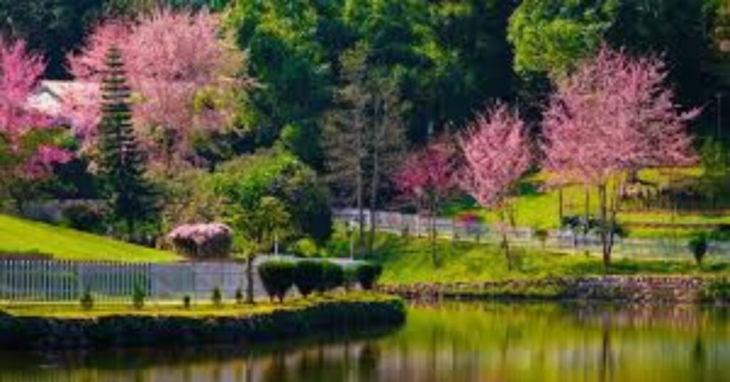 Places To Visit In India in July, Shillong
