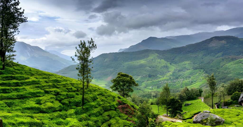 Places To Visit In India in July, Wayanad