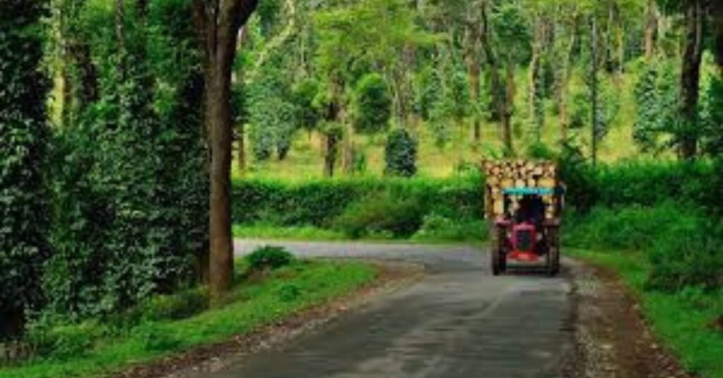 Places to Visit in India During Monsoon