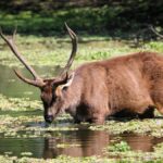 15 Best Places to Visit in Bhopal